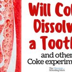 Will Coke Dissolve a Tooth? (and Other Coke Experiments)