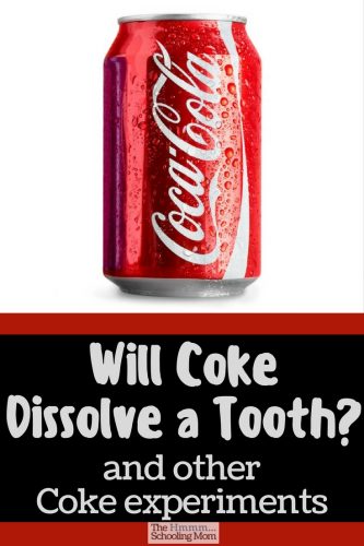 Will Coke dissolve a tooth? Can Coke clean a penny...or a toilet? Read on for our results in our Coke experiments.