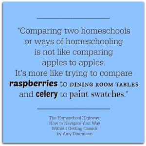 Don't worry about how your homeschool compares to anyone elses - you can't compare two homeschools! Get more encouragment from The Homeschool Highway: How to Navigate Your Way Without Getting Carsick by Amy Dingmann, The Hmmmschooling Mom