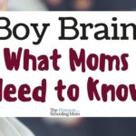 Boy Brain: What Moms Need to Know