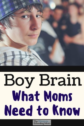 Take heart, mama. Sometimes the issues you have with your son is because he has a boy brain, and you don't. Let me explain how this comes into play...