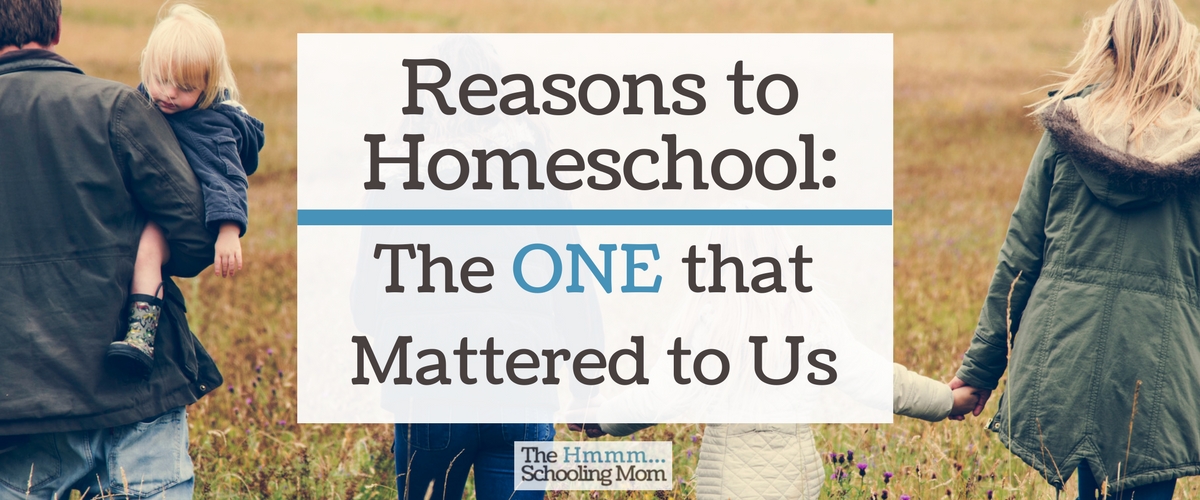 Reasons to Homeschool: The ONE that Mattered to Us