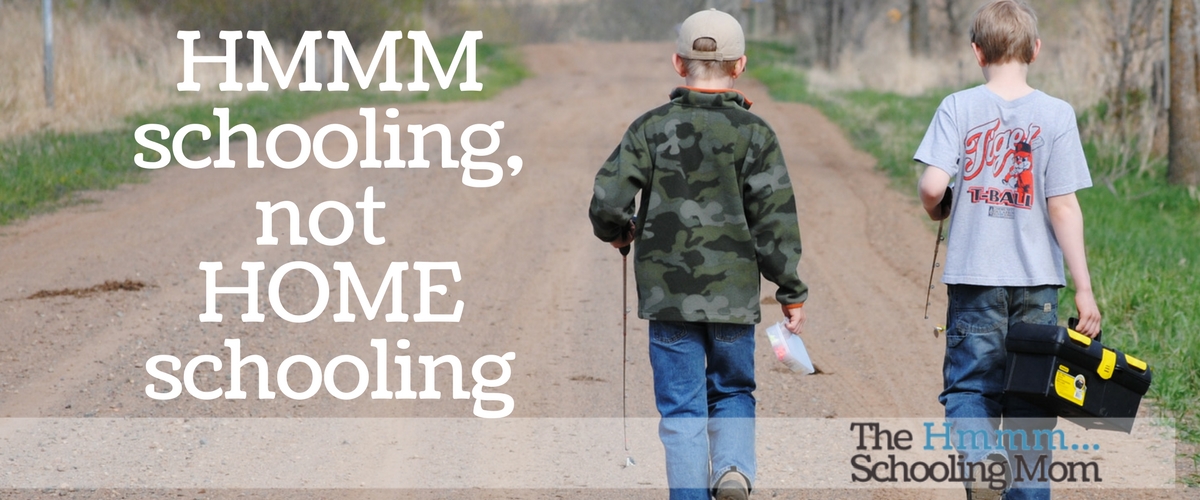 Hmmmschooling, Not Homeschooling