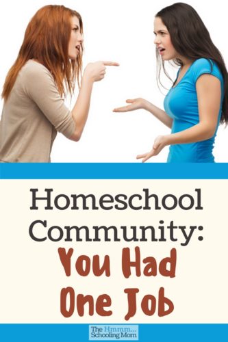 Let's be honest, homeschool community: you had one job. And the judgement, bickering and mom-war type pride isn't helping you get the job done.