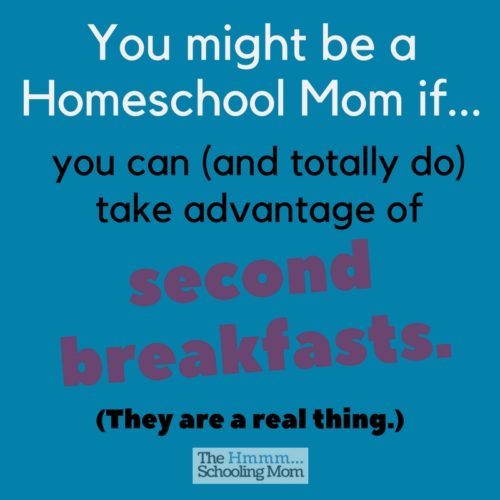 How do you know you're a homeschool mom? If you smile, laugh, or nod your head to the things in this list. Can I get an amen?