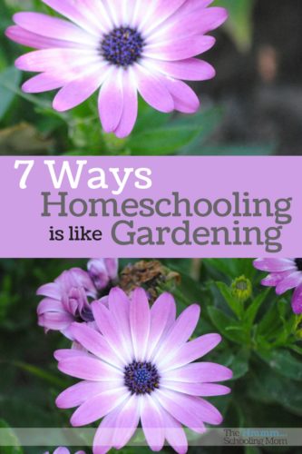 Has it ever occurred to you that many of the lessons we learn while growing plants can easily be applied to our journey as homeschooling parents? Here are seven similarities between gardening and homeschooling.