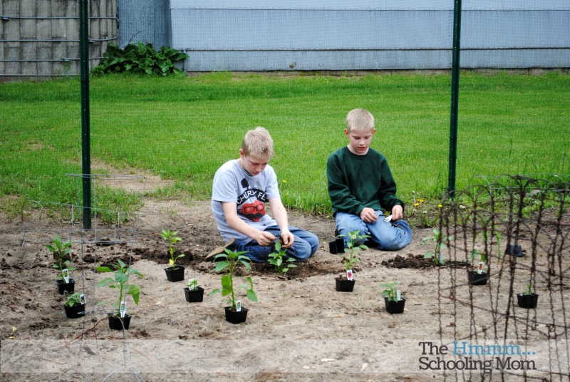 Has it ever occurred to you that many of the lessons we learn while growing plants can easily be applied to our journey as homeschooling parents?