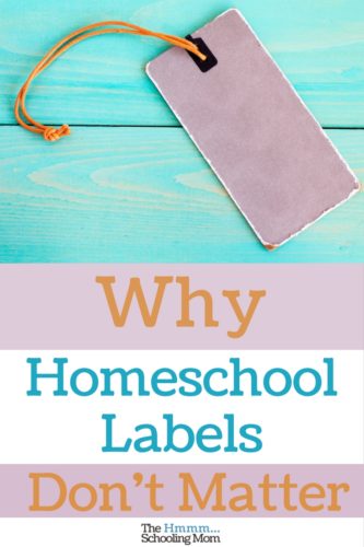 Radical Unschooler. Eclectic. Classical. What kind of homeschooler are you? Here are my thoughts on homeschool labels and why they maybe don't even matter.