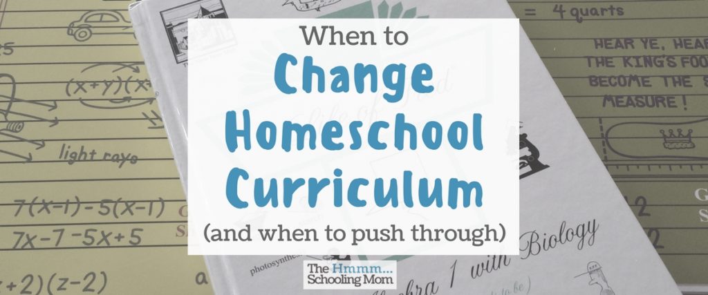 Wondering if it's time to change homeschool curriculum? Here is a lesson my son learned when he asked for it to happen here.